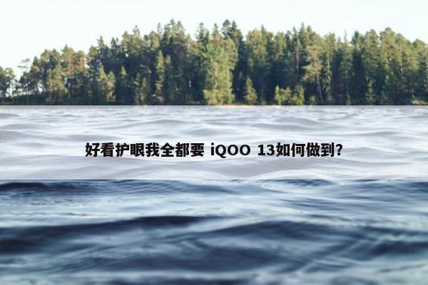 好看护眼我全都要 iQOO 13如何做到？