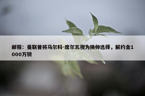 邮报：曼联曾将马尔科-席尔瓦视为换帅选择，解约金1000万镑