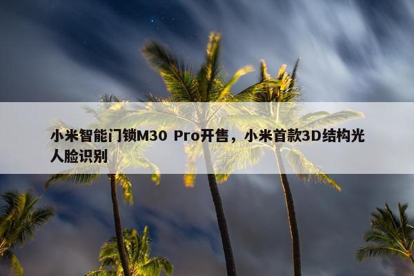 小米智能门锁M30 Pro开售，小米首款3D结构光人脸识别