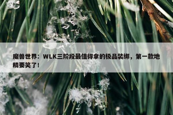 魔兽世界：WLK三阶段最值得拿的极品装绑，第一款地精要笑了！