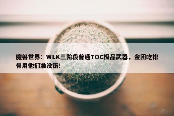 魔兽世界：WLK三阶段普通TOC极品武器，金团吃排骨用他们准没错！