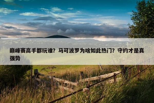 巅峰赛高手都玩谁？马可波罗为啥如此热门？守约才是真强势