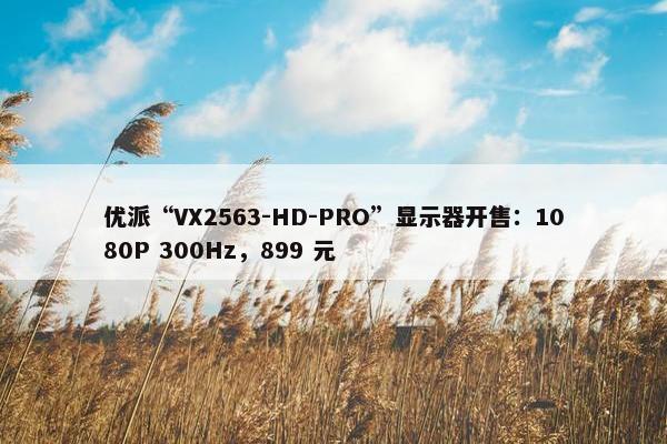 优派“VX2563-HD-PRO”显示器开售：1080P 300Hz，899 元