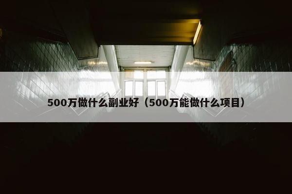 500万做什么副业好（500万能做什么项目）