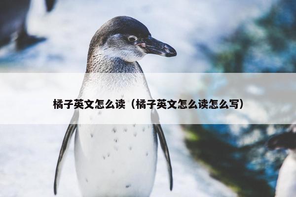 橘子英文怎么读（橘子英文怎么读怎么写）