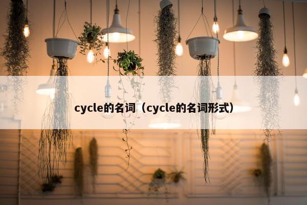 cycle的名词（cycle的名词形式）