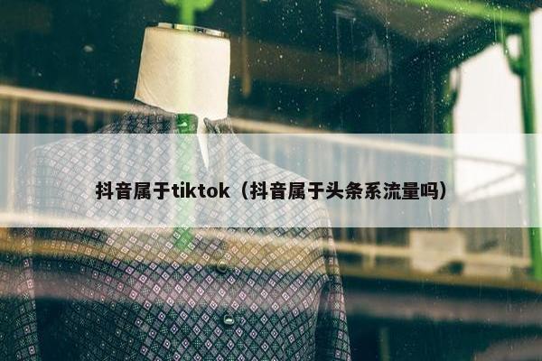 抖音属于tiktok（抖音属于头条系流量吗）