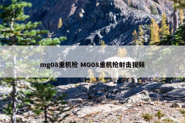 mg08重机枪 MG08重机枪射击视频