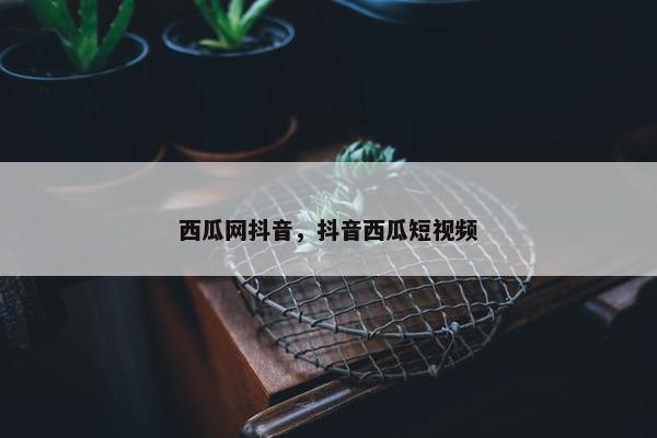 西瓜网抖音，抖音西瓜短视频