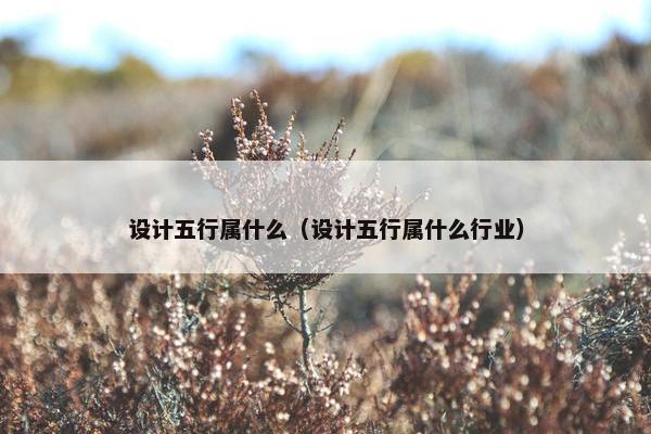 设计五行属什么（设计五行属什么行业）