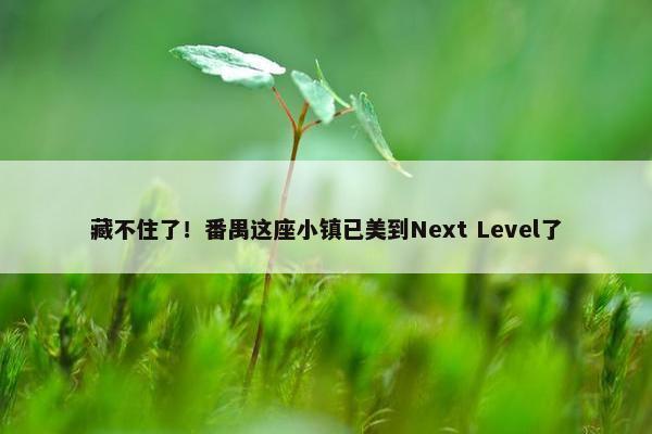 藏不住了！番禺这座小镇已美到Next Level了