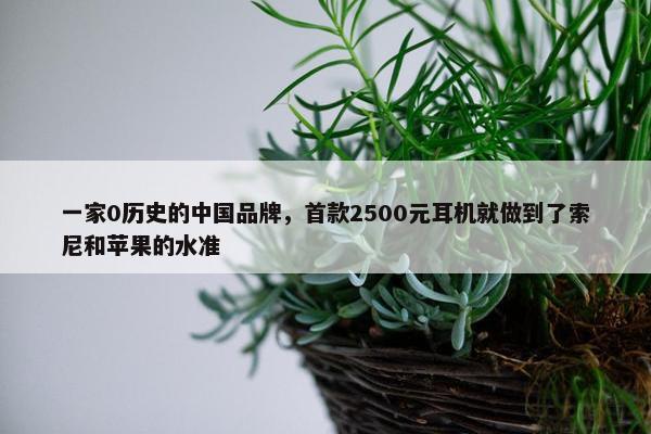 一家0历史的中国品牌，首款2500元耳机就做到了索尼和苹果的水准