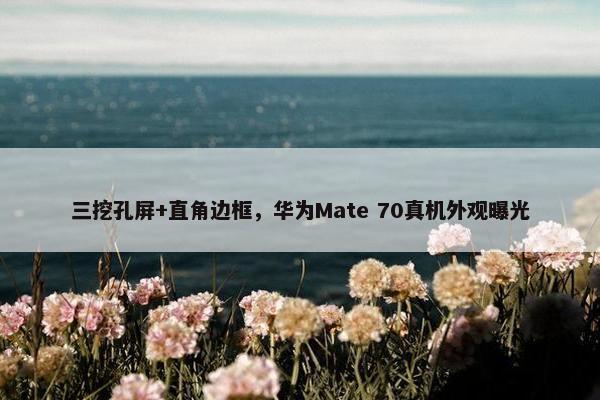 三挖孔屏+直角边框，华为Mate 70真机外观曝光