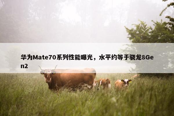 华为Mate70系列性能曝光，水平约等于骁龙8Gen2