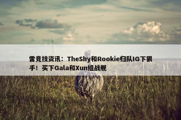 雷竞技资讯：TheShy和Rookie归队IG下狠手！买下Gala和Xun组战舰