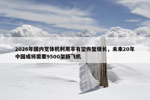 2026年国内宽体机利用率有望恢复增长，未来20年中国或将需要9500架新飞机