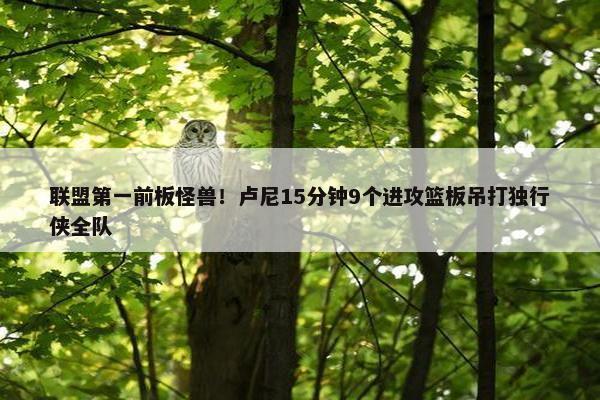 联盟第一前板怪兽！卢尼15分钟9个进攻篮板吊打独行侠全队