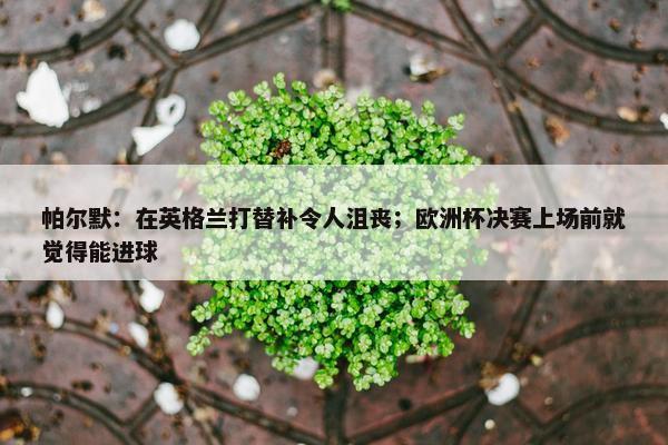 帕尔默：在英格兰打替补令人沮丧；欧洲杯决赛上场前就觉得能进球