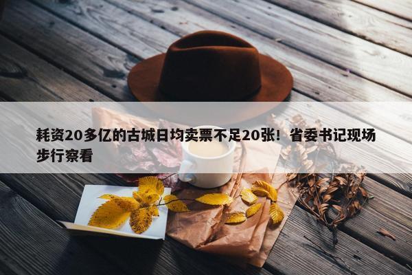 耗资20多亿的古城日均卖票不足20张！省委书记现场步行察看