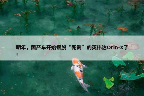 明年，国产车开始摆脱“死贵”的英伟达Orin-X了！