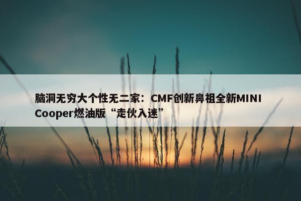 脑洞无穷大个性无二家：CMF创新鼻祖全新MINI Cooper燃油版“走伙入迷”