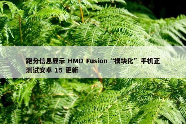 跑分信息显示 HMD Fusion“模块化”手机正测试安卓 15 更新