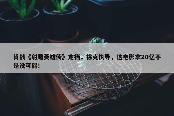 肖战《射雕英雄传》定档，徐克执导，这电影拿20亿不是没可能！