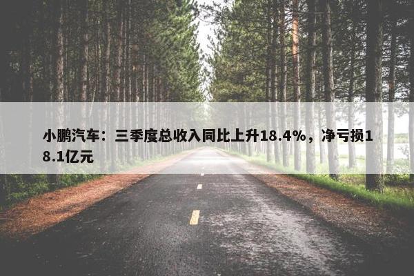 小鹏汽车：三季度总收入同比上升18.4%，净亏损18.1亿元