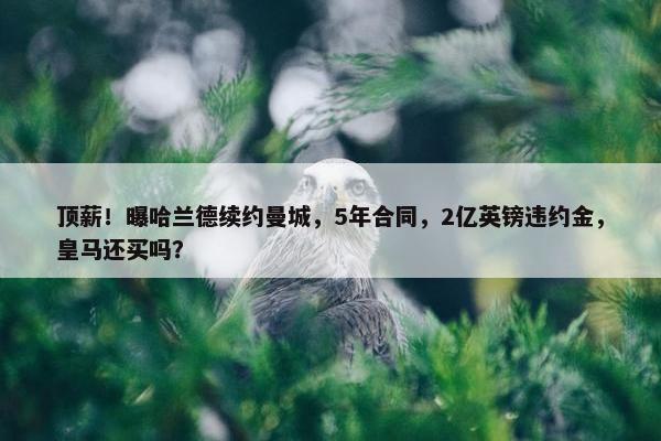 顶薪！曝哈兰德续约曼城，5年合同，2亿英镑违约金，皇马还买吗？