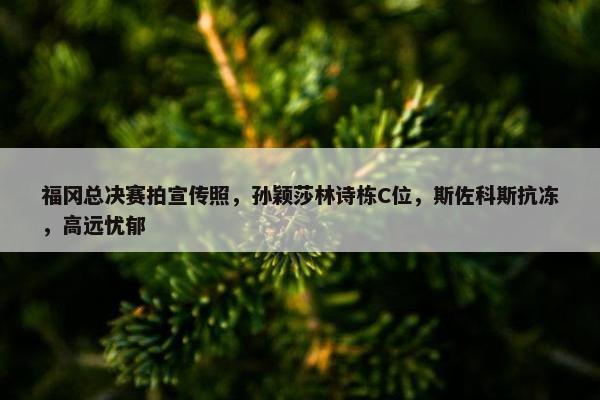 福冈总决赛拍宣传照，孙颖莎林诗栋C位，斯佐科斯抗冻，高远忧郁