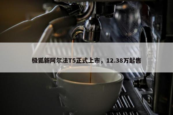 极狐新阿尔法T5正式上市，12.38万起售