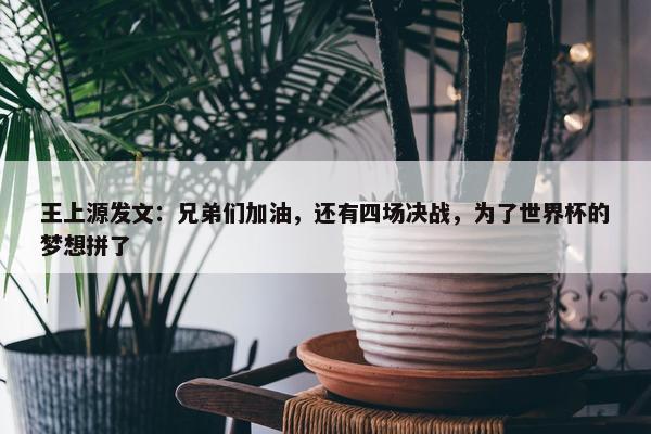 王上源发文：兄弟们加油，还有四场决战，为了世界杯的梦想拼了