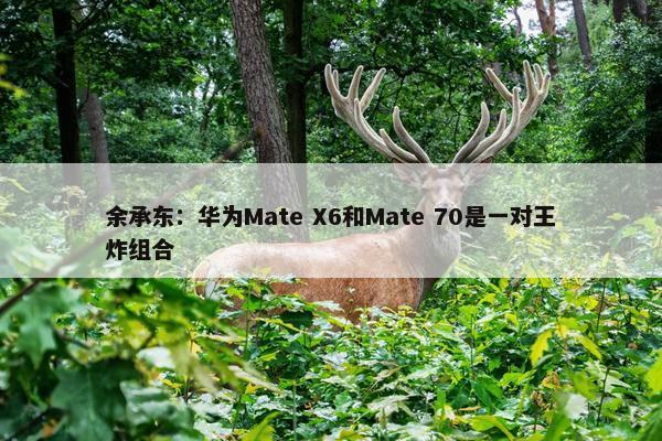 余承东：华为Mate X6和Mate 70是一对王炸组合