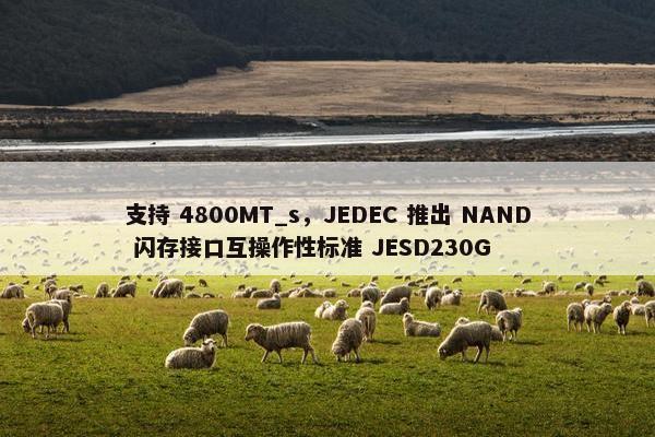 支持 4800MT_s，JEDEC 推出 NAND 闪存接口互操作性标准 JESD230G