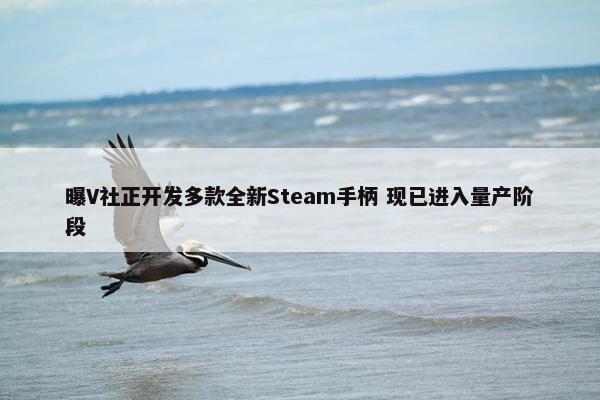 曝V社正开发多款全新Steam手柄 现已进入量产阶段