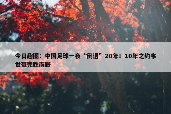 今日趣图：中国足球一夜“倒退”20年！10年之约韦世豪完胜南野