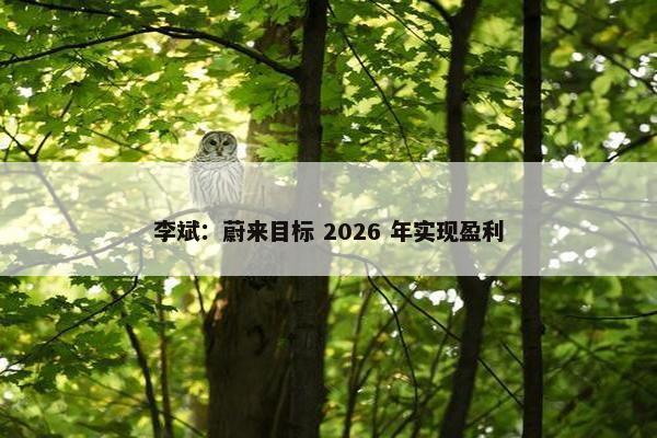 李斌：蔚来目标 2026 年实现盈利