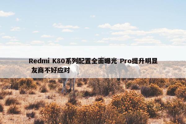 Redmi K80系列配置全面曝光 Pro提升明显 友商不好应对