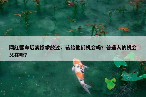 网红翻车后卖惨求放过，该给他们机会吗？普通人的机会又在哪？