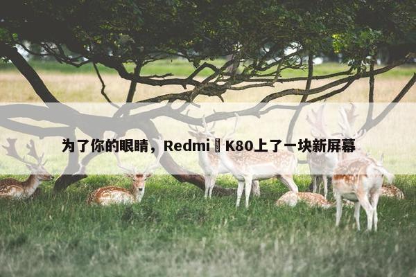 为了你的眼睛，Redmi K80上了一块新屏幕