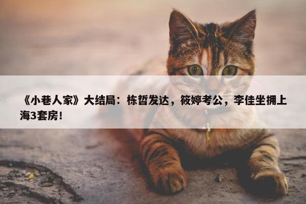 《小巷人家》大结局：栋哲发达，筱婷考公，李佳坐拥上海3套房！