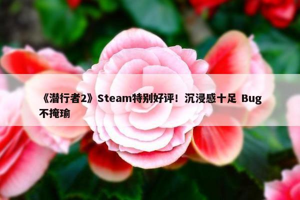 《潜行者2》Steam特别好评！沉浸感十足 Bug不掩瑜