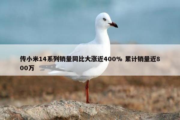 传小米14系列销量同比大涨近400% 累计销量近800万