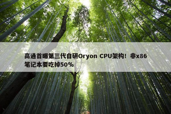 高通首曝第三代自研Oryon CPU架构！非x86笔记本要吃掉50％