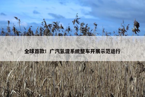 全球首款！广汽氢混系统整车开展示范运行