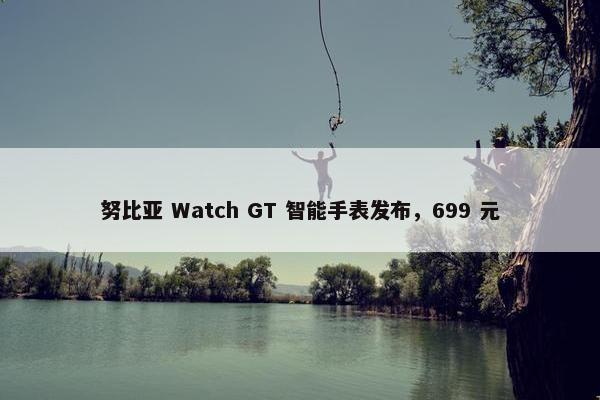 努比亚 Watch GT 智能手表发布，699 元