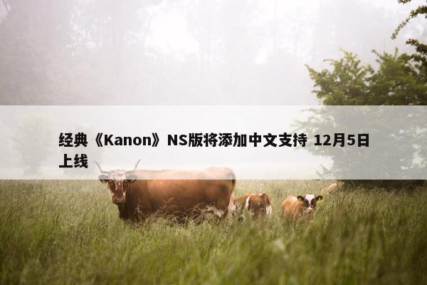 经典《Kanon》NS版将添加中文支持 12月5日上线