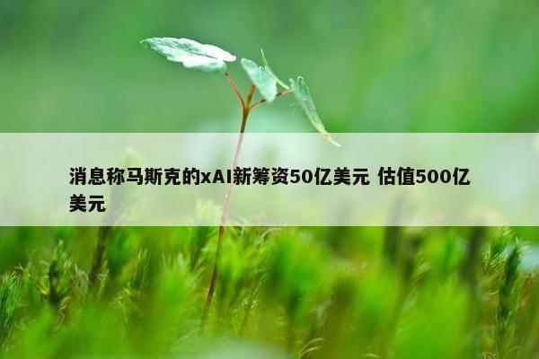 消息称马斯克的xAI新筹资50亿美元 估值500亿美元