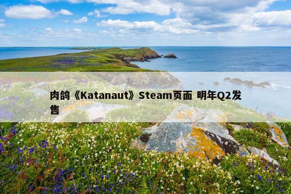 肉鸽《Katanaut》Steam页面 明年Q2发售