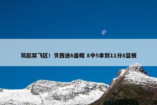 筑起禁飞区！贝西送6盖帽 8中5拿到11分8篮板